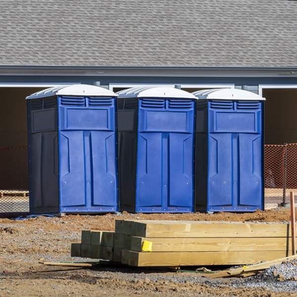 what types of events or situations are appropriate for portable restroom rental in Theodosia